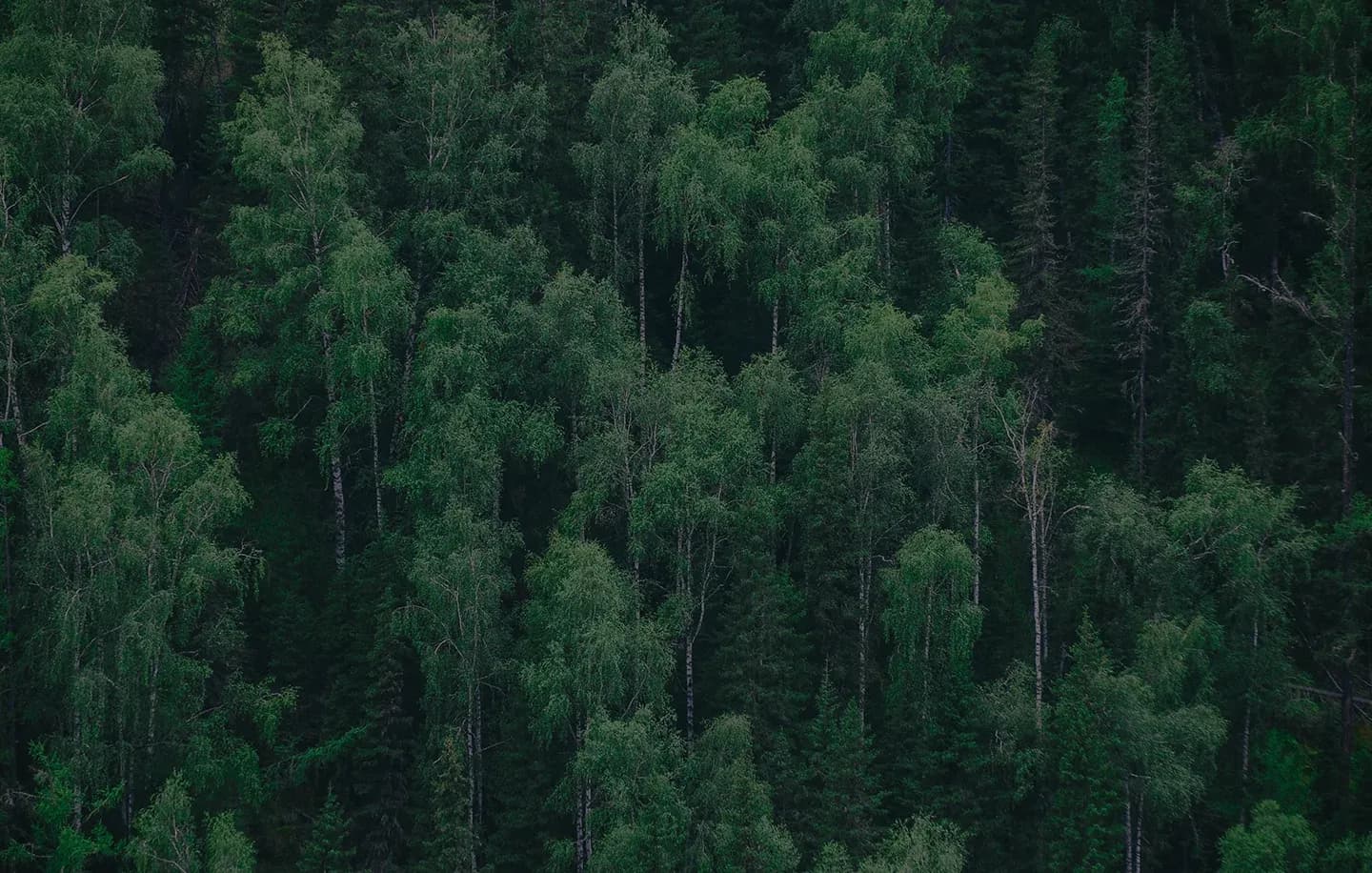 footer background
