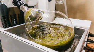 man observing process